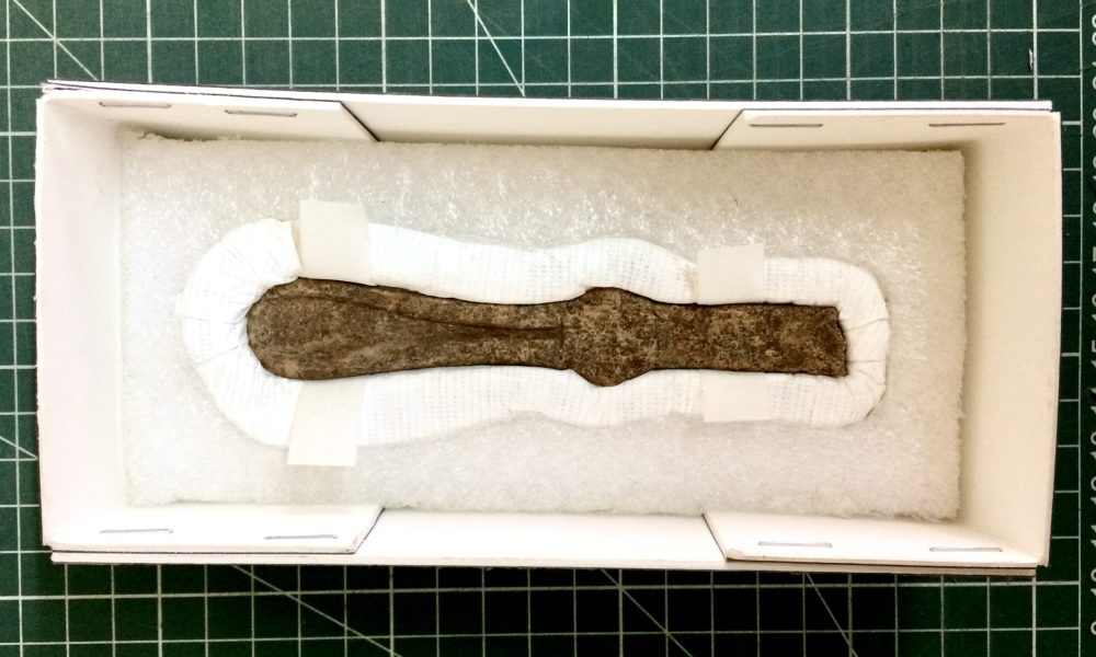 Conservación General Embalaje 4