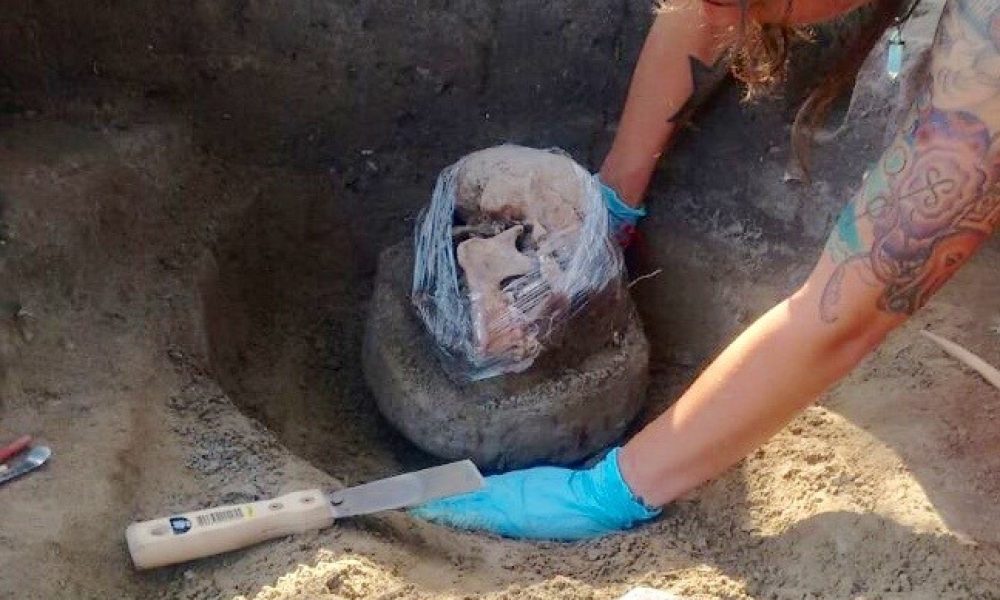 Conservación en terreno 2
