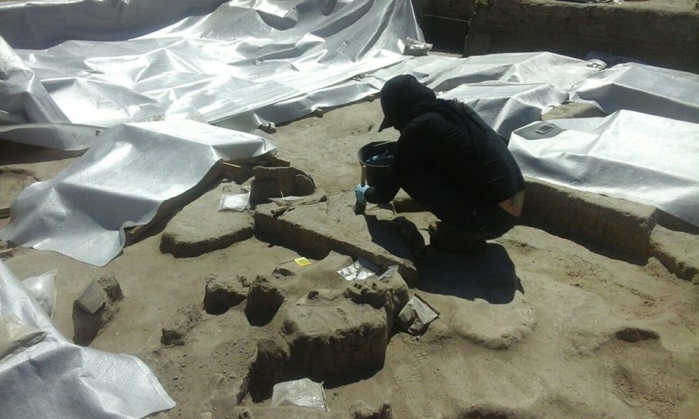 Conservación en terreno 5